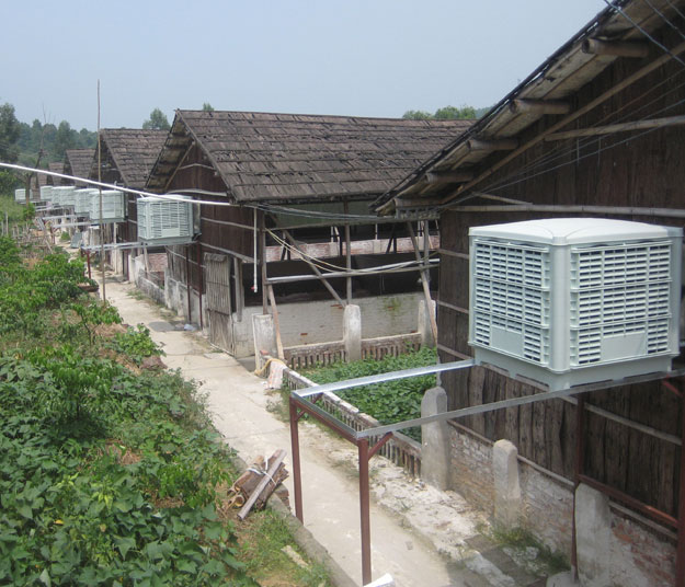 濕簾冷風(fēng)機蒸發(fā)式降溫怎么樣